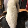 Sidesaddle Queen - Image 13