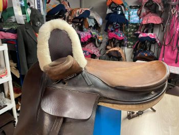 Sidesaddle Queen - Image 17