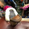 Sidesaddle Queen - Image 5