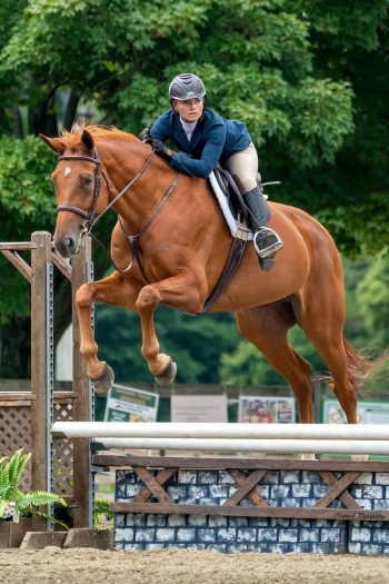 Fancy Stitch Standing Martingale - Image 2