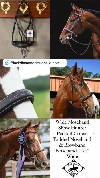 Show Hunter Bridle-Wide Noseband - Image 10