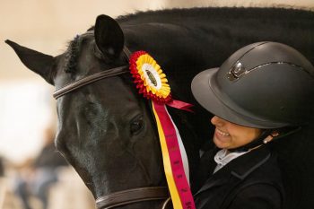 Traditional (Non-Monocrown) Bridle - Image 4